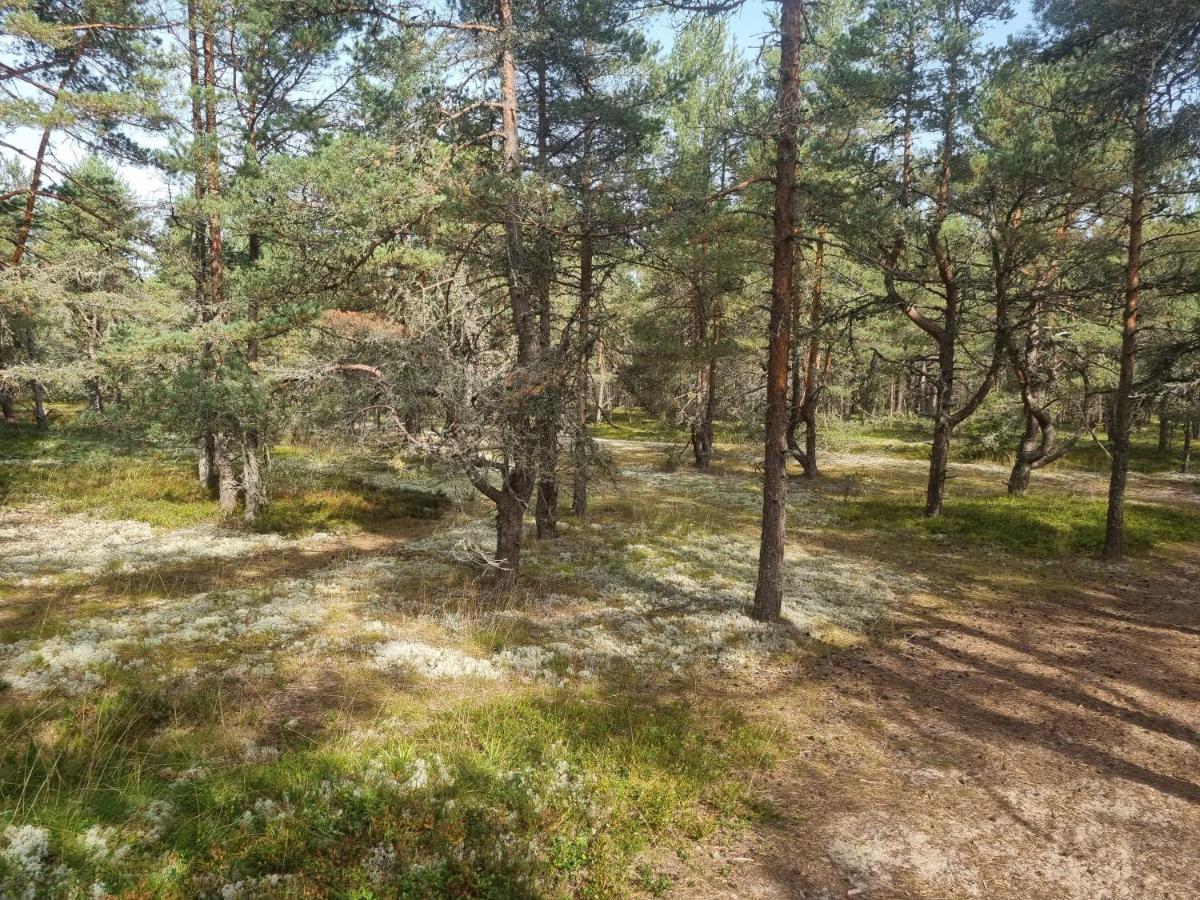 Norwegian Saunahouse Haapse Exteriér fotografie